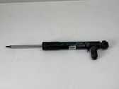 Stoßdämpfer hinten