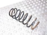 Front coil spring