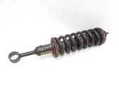 Front shock absorber with coil spring