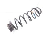 Rear coil spring