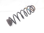 Rear coil spring