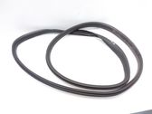 Rear door rubber seal (on body)