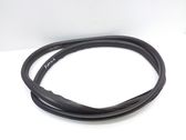 Rear door rubber seal (on body)