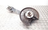 Rear wheel hub spindle/knuckle