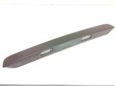 Trunk door license plate light bar