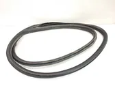 Rear door rubber seal (on body)