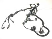 Other wiring loom