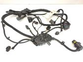 Engine installation wiring loom