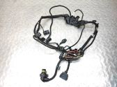 Engine installation wiring loom
