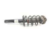 Front shock absorber with coil spring