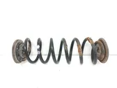 Rear coil spring