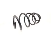 Front coil spring