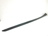 Windshield trim