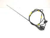 Antenna autoradio