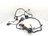 Front door wiring loom