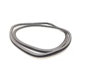 Rear door rubber seal (on body)