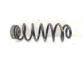 Rear coil spring