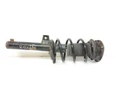 Front shock absorber with coil spring