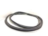 Trunk rubber seal (body)