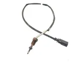 Exhaust gas temperature sensor