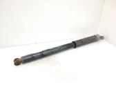 Rear shock absorber/damper