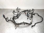 Engine installation wiring loom