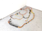 Other wiring loom