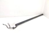 Tailgate/trunk strut/damper