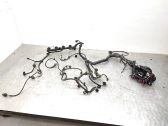 Faisceau de câblage pour moteur