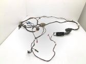 Front door wiring loom