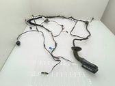 Front door wiring loom