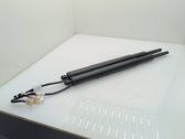 Tailgate/trunk strut/damper