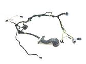 Rear door wiring loom
