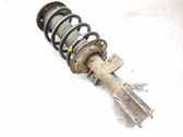 Front shock absorber with coil spring