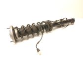 Rear shock absorber with coil spring