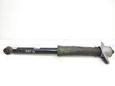 Rear shock absorber/damper