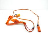 Other wiring loom