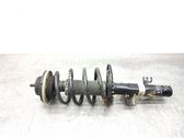 Front shock absorber with coil spring