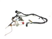 Engine installation wiring loom