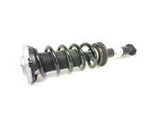 Rear shock absorber with coil spring