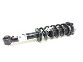 Rear shock absorber with coil spring