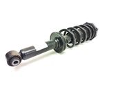 Rear shock absorber with coil spring