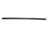 Front door trim (molding)