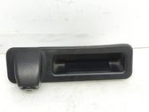 Tailgate handle with camera
