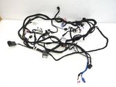 Other wiring loom