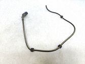 Cableado del sensor ABS delantero