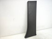 (B) pillar trim (bottom)