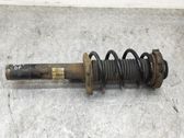 Front shock absorber with coil spring