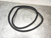 Rear door rubber seal (on body)