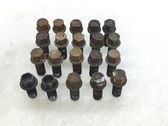 Nuts/bolts
